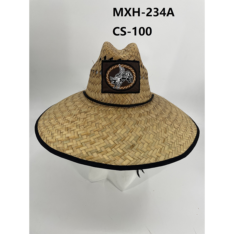 MXH-234A CS-100